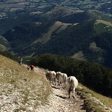 לינה וארוחת בוקר Monte Acuto Cantiano