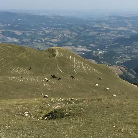 Monte Acuto Cantiano